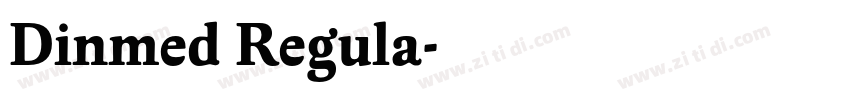 Dinmed Regula字体转换 Dinmed Regula字体转换